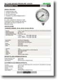 at series pressure gauge brochure at series pressure gauge brochure