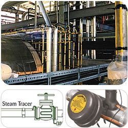Emissions and Energy Efficiency in industry: Boiler Case Study South Africa Energy savings with modern heat tracing solutions