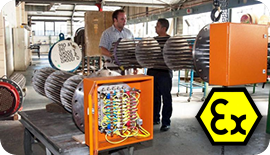 Ex-e certified Flanged Heater