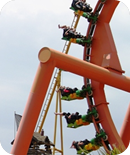 Team Jo'burg's roller coaster ride
