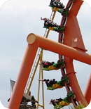Team Jo'burg's roller coaster ride Team Jo'burg's roller coaster ride
